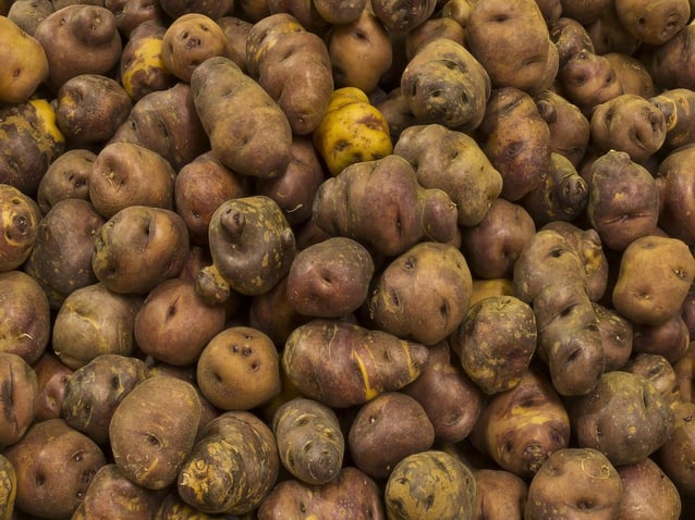 Las papas canarias son un alimento sencillo y delicioso