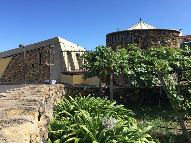Les meilleurs vins des Canaries : Ycoden-Daute-Isora