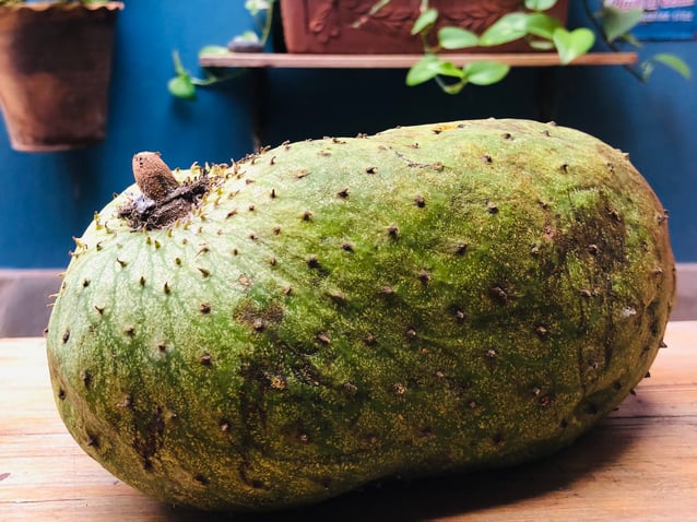 Frutas tropicales: conoce la guanábana